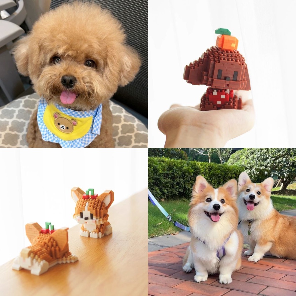 Bộ Búp Bê Chó shiba inu Nhồi Bông Nhỏ Tự Làm Thủ Công Dùng Để Trang Trí