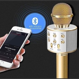 (Bán buôn-chuyên sỉ) Mic Karaoke Ws-858