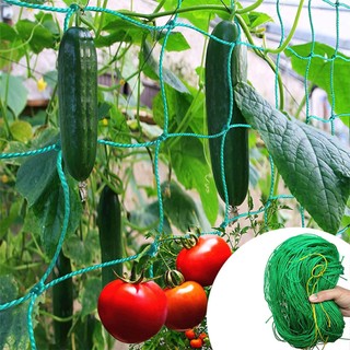 Lưới giàn leo/giàn cây /trồng cây leo làm giàn sân vườn ban công sân thượng-GL602