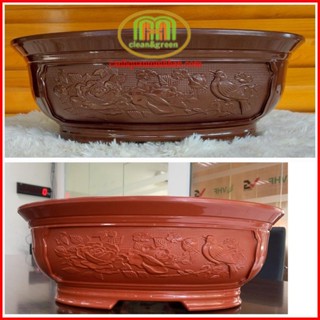 Chậu bonsai nhựa mini hình ovan phù hợp cho các loại cây kiểng cây bonsai combo 3 cái 