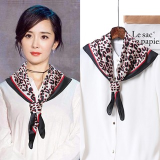 Khăn lụa vuông choàng cổ CASSN