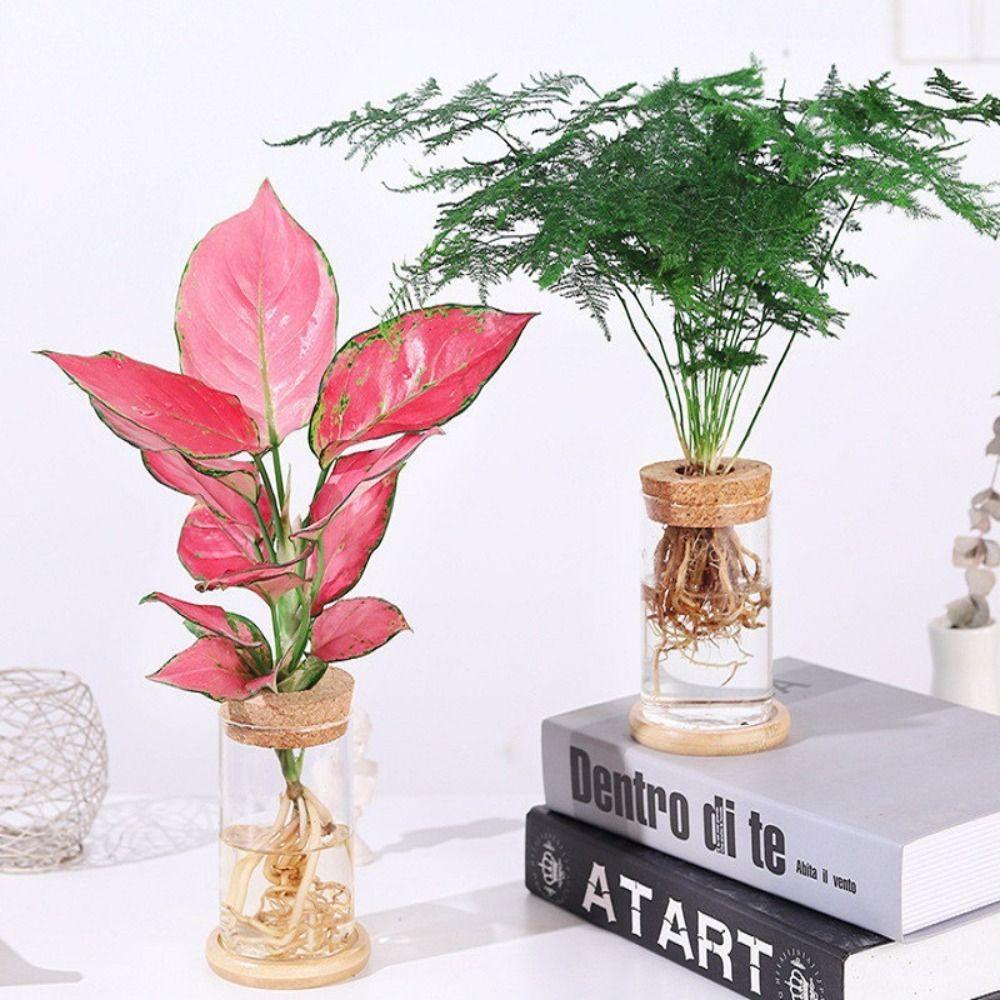 Avalentine Bình Hoa Thủy Tinh Tròn mini Trong Suốt Trang Trí Ban Công
