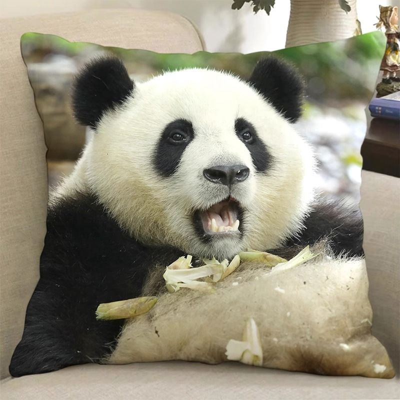 Gấu Trúc Lớn fubao qizai huahua meng lan run Zefeiyun Làm Quà Tặng