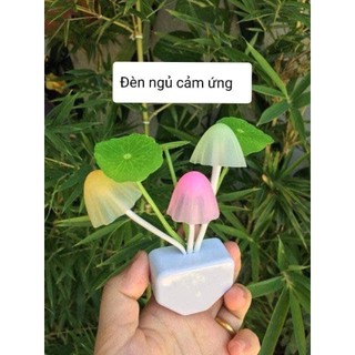 Đèn ngủ cảm ứng tự động phát sáng