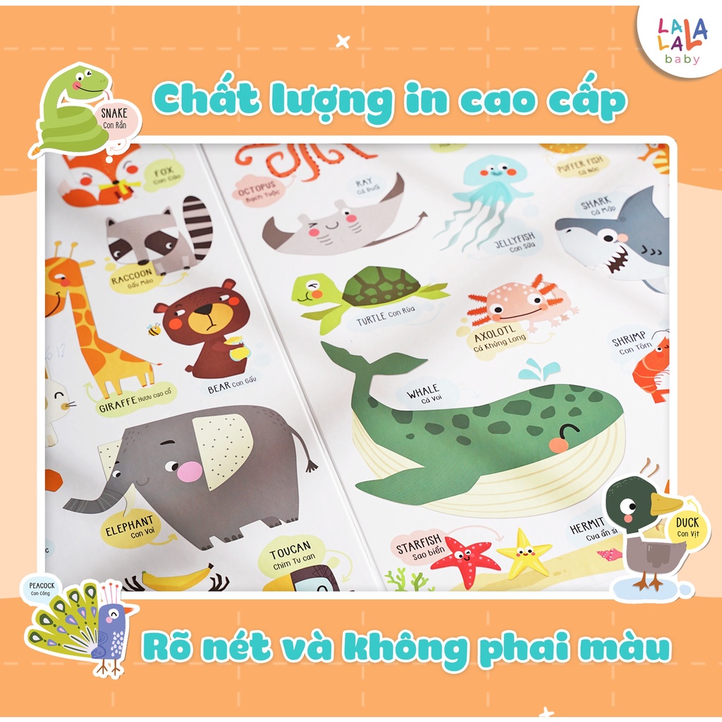 Bảng Gấp Thông Thái Cho Bé Học Song Ngữ Anh Việt – Lalala Baby