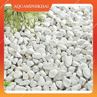 Sỏi Trắng Trang Trí Hồ Cá, Bể Thủy Sinh - Tiểu Cảnh Sân Vườn, Lót Chậu, trang trí terrarium 1kg