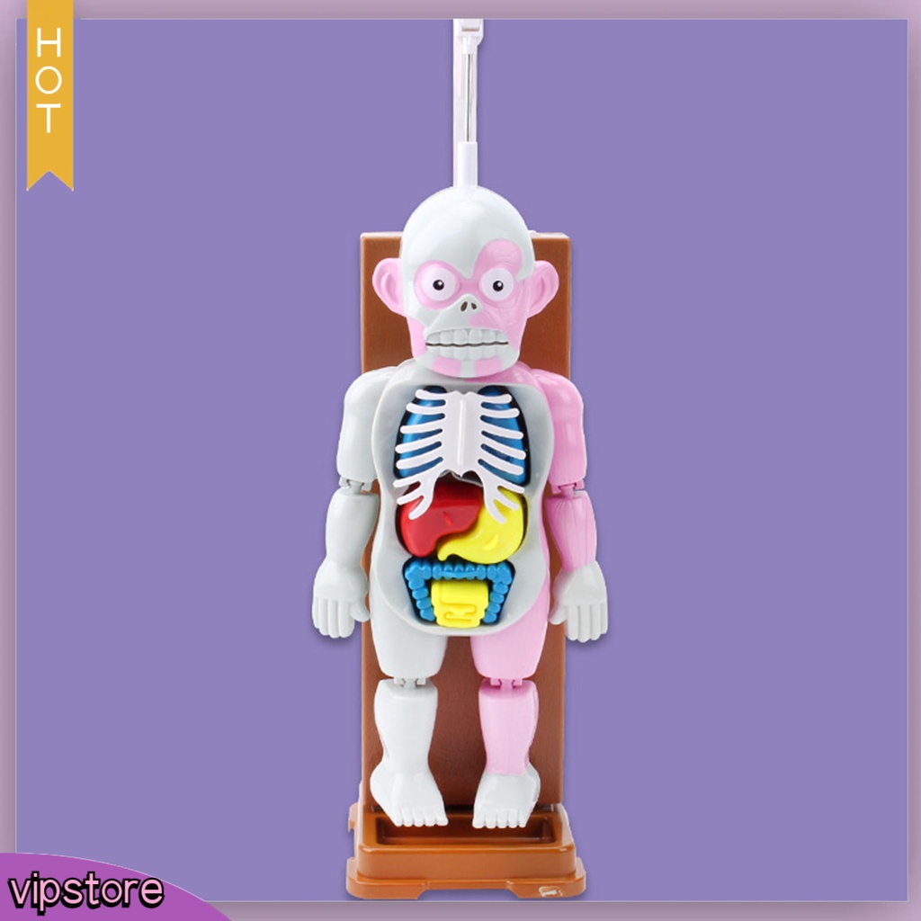 Set 37 Thẻ Ma Nơ Canh Có Âm Thanh Hóa Trang halloween