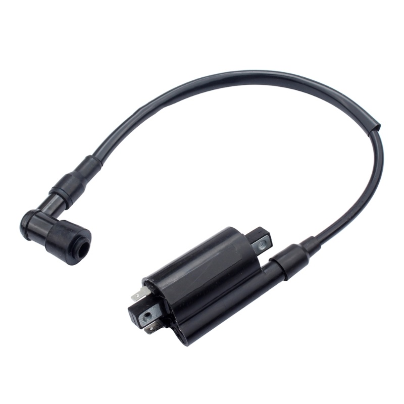 Cuộn Dây Đánh Lửa Động Cơ Xe Máy Chống Nắng 4x2 6x4gator Gass homologated