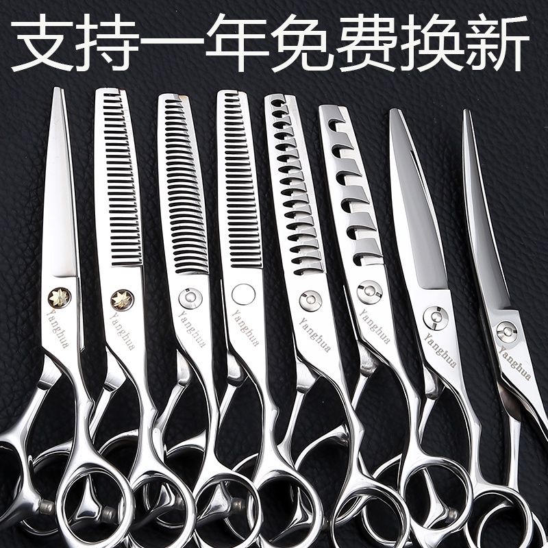 Kéo Cắt Xương Cá Răng Cưa Bằng Thép Không Gỉ Chuyên Nghiệp