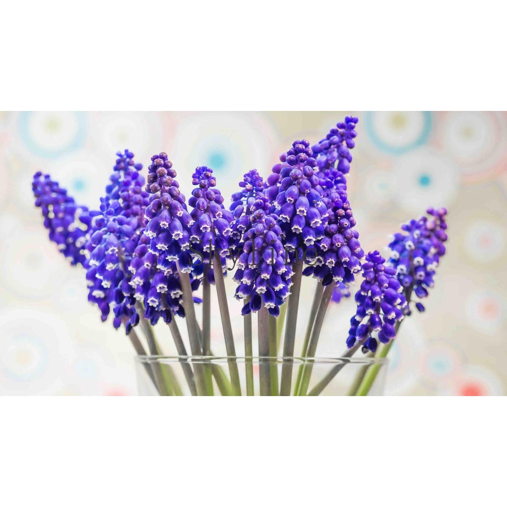 Set 10 / 30 Nút Công Tắc v2u Chuyên Dụng Cho Bàn Phím Chơi Game