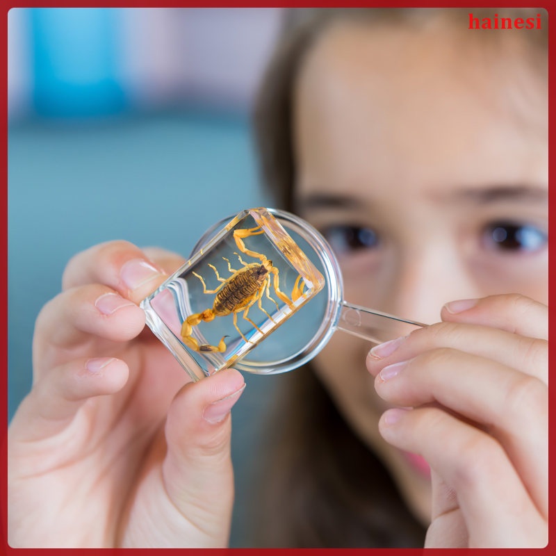 Thấu Kính Lồi Kép Cho Phòng Thí Nghiệm Khoa Học Đường Kính 30mm Đường Kính 50mm hainesi