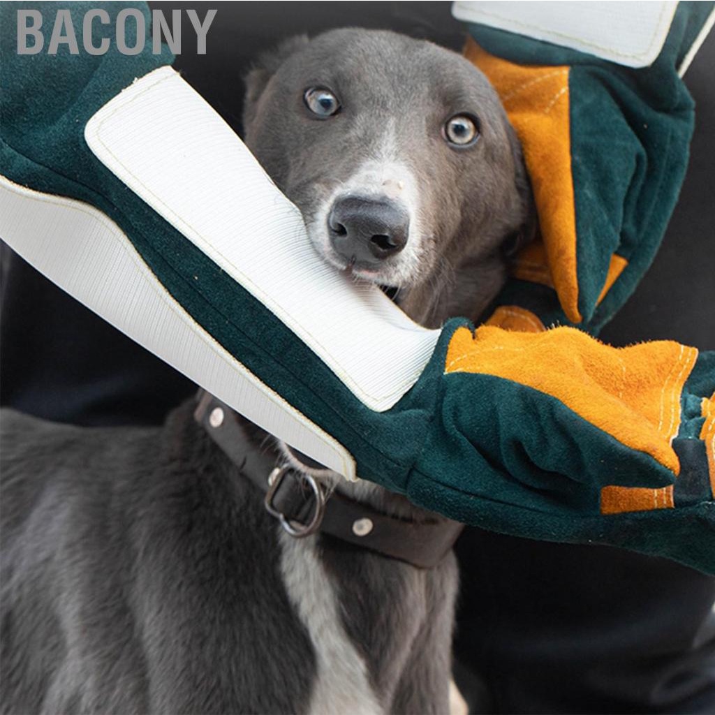 Bacony Handling   Professional Safety Tight Stitching Large Protection Area  Scratch for Veterinarians