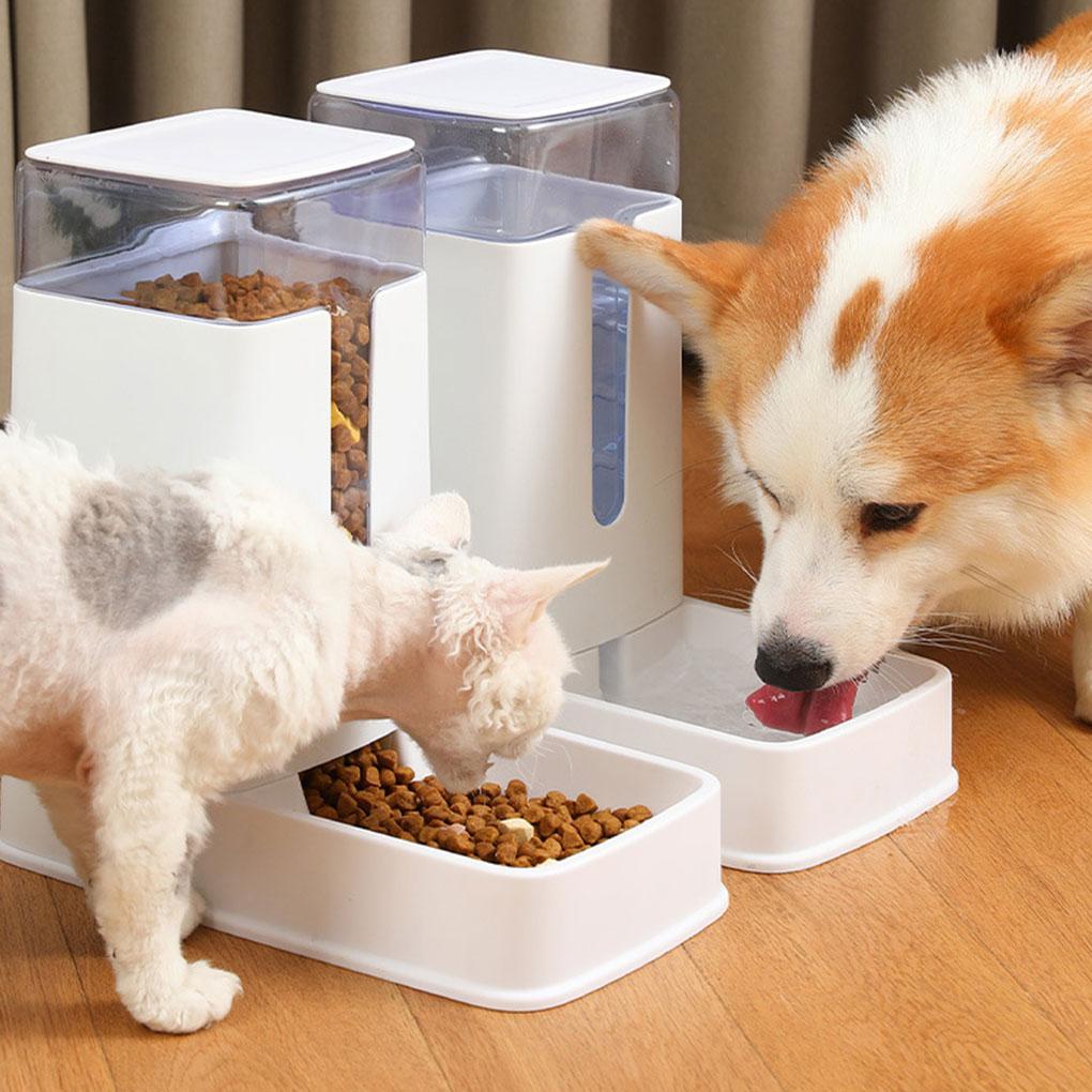 1/2/3 máy cấp nước và hạt tự động cho thú cưng tách nước và hạt cho mèo và chó tách nước và hạt là