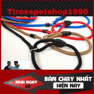 Dây xích cổ dắt thú cưng đi dạo nhiều màu chắc chắn ❤️