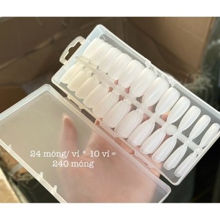 Móng Úp hạt gạo + thang + nhọn + vuông móng úp nhám 240 móng
