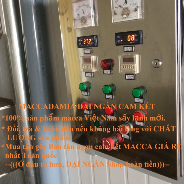 500g Hạt MACCA  SẤY LẠNH Size Lớn 23-27mm Có VSATTP