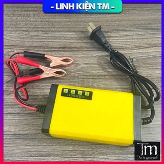 Sạc acquy 12v 30ah