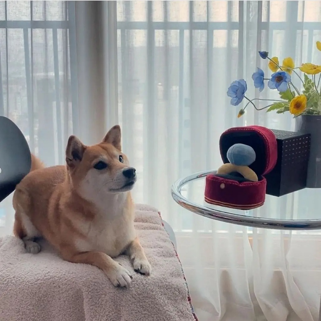 Hộp đựng nhẫn sáng tạo Đồ chơi sang trọng Hộp đựng nhẫn kim cương tình yêu Thú nhồi bông Nhai Đồ chơi Âm thanh Chó con Dễ thương Đồ chơi mềm mại cho chó đắng