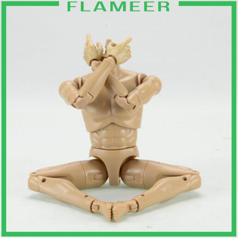 Mô Hình Cơ Thể Nam 12 inch Tỉ Lệ 1 / 6