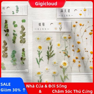 Gigicloud Sticker pet Hình Hoa Dán Phẳng Trang Trí Sổ Tay diy