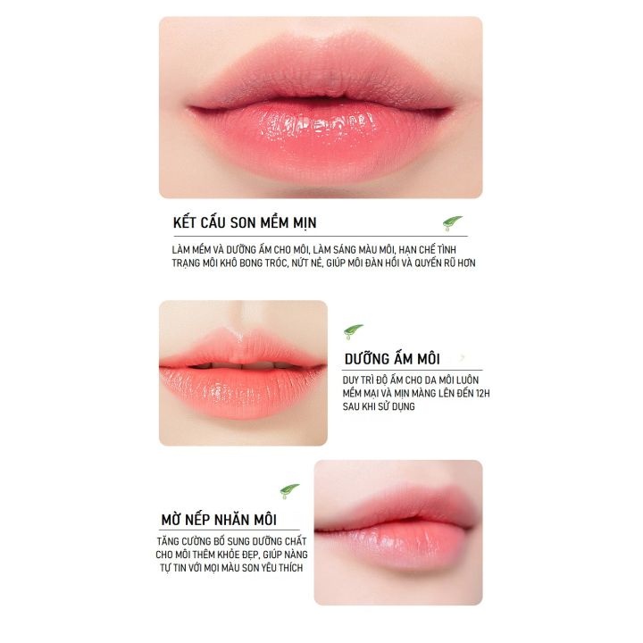 Son Dưỡng Môi Lip balm SADOER ALOE VERA, Giúp Chăm Sóc Đôi Môi Mềm, Căng Mọng Và Đàn Hồi Lyyoga S14