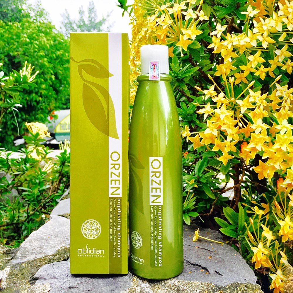 Dầu gội chống rụng tóc Orzen Orgahealing Shampoo 320gr ( New )