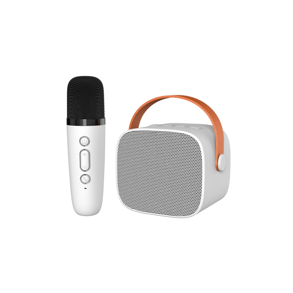 K12 BỘ LOA Bluetooth KÈM 2 MiC- không kèm sticker