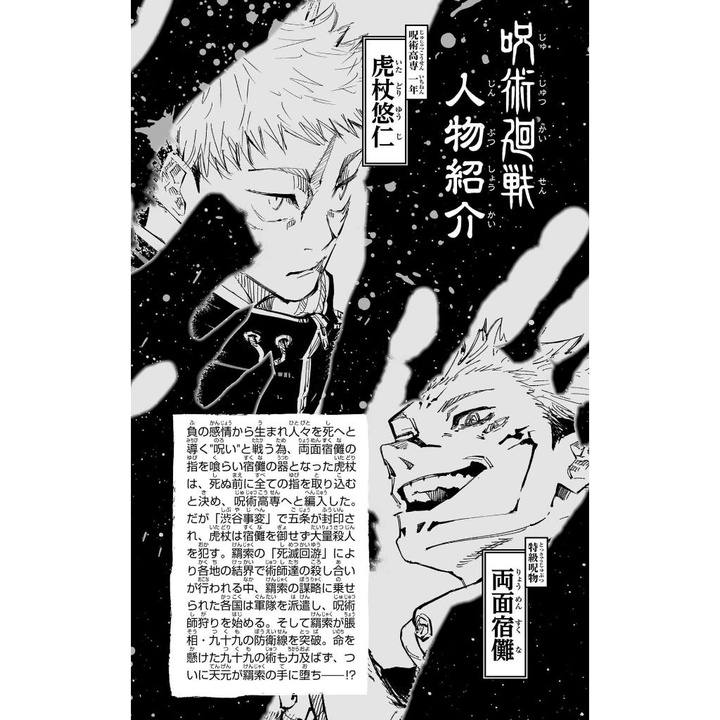 Jujutsu Kaisen 24