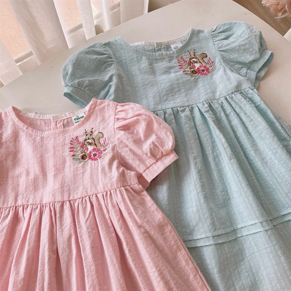 Váy Thô Thêu Hoa Và Sóc 9-33kg