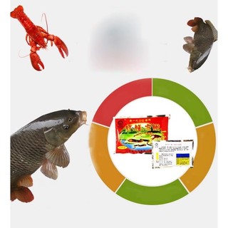 10 Gói Mồi Bẫy Lươn Trạch Siêu Nhậy