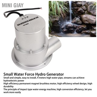 Mini Giay Máy phát điện thủy tuabin nước Động cơ không chổi than nam châm vĩnh cửu lực nhỏ