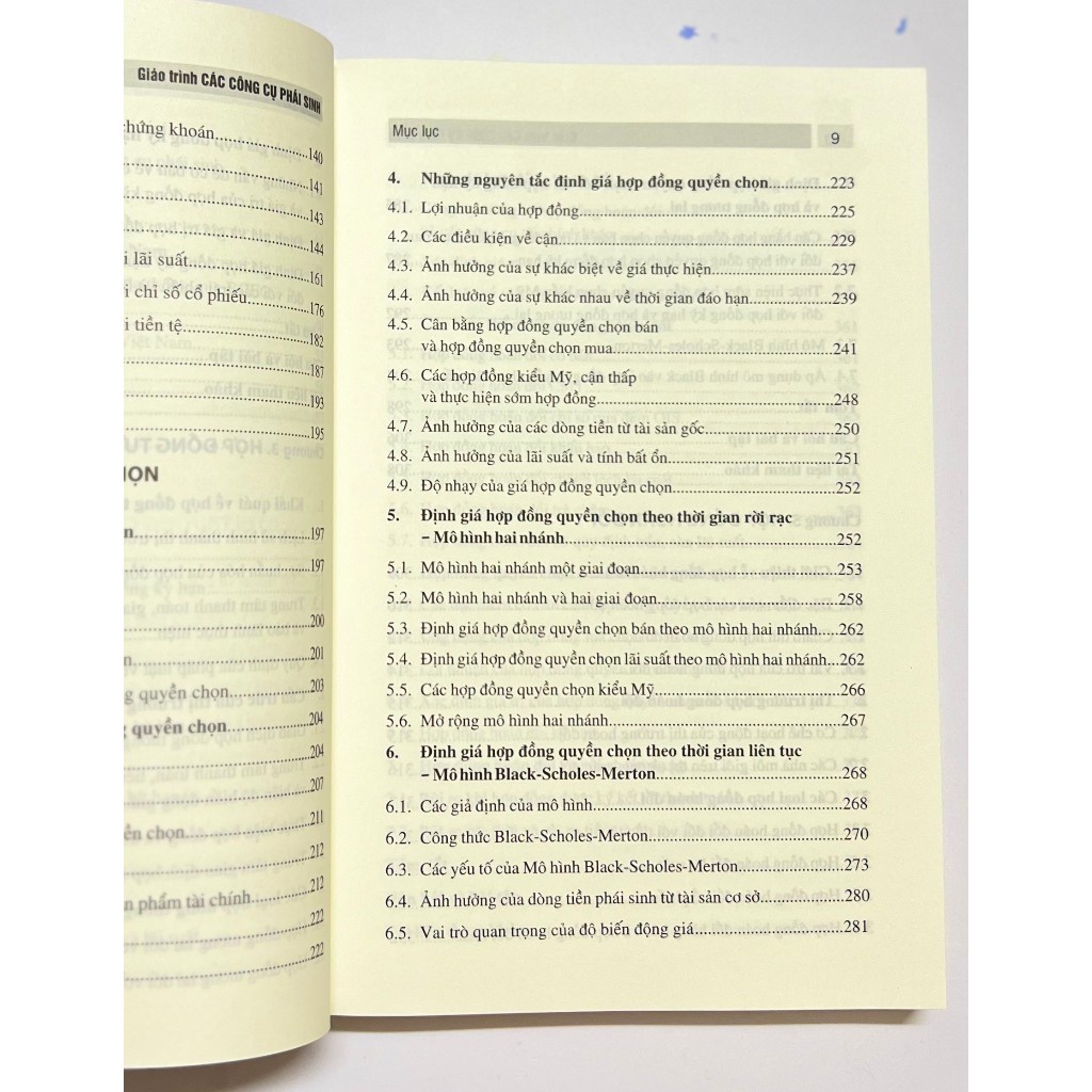 Sách - Giáo Trình Các Công Cụ Phái Sinh  - Nhà Sách Pháp Luật New