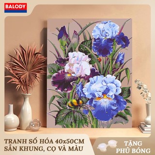 Tranh Sơn dầu Số hóa Hoa Diên Vĩ MS1261 40x50cm BALODY có khung, màu, cọ, móc treo tường