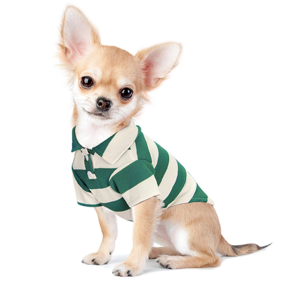 Áo polo Nhiều Kiểu Dáng Mùa Hè Thu Dành Cho Chó chihuahua