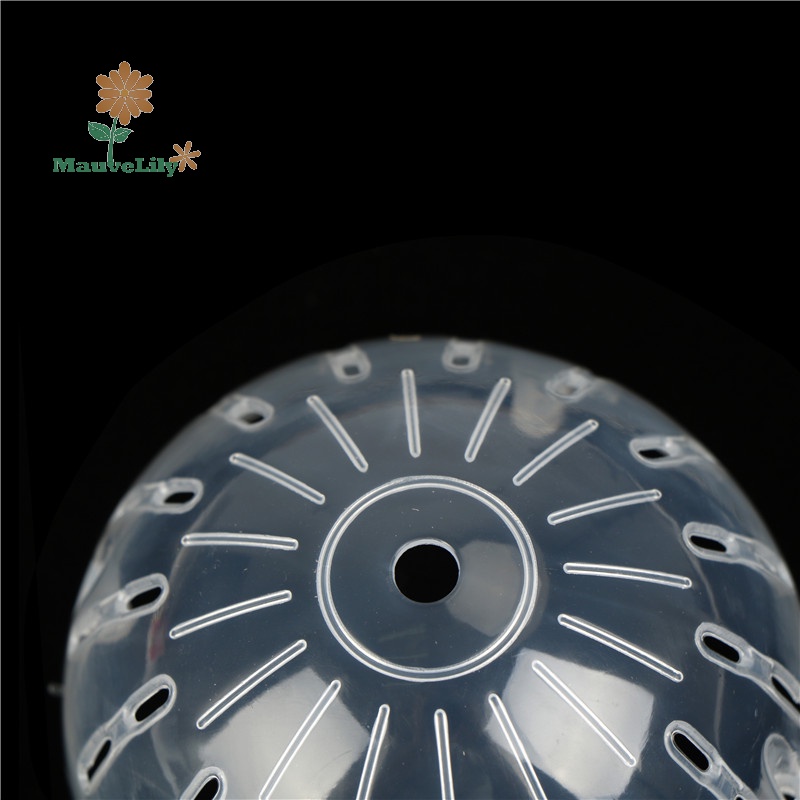 Lily 1 Bóng Nhựa Đồ Chơi Cho Chuột hamster