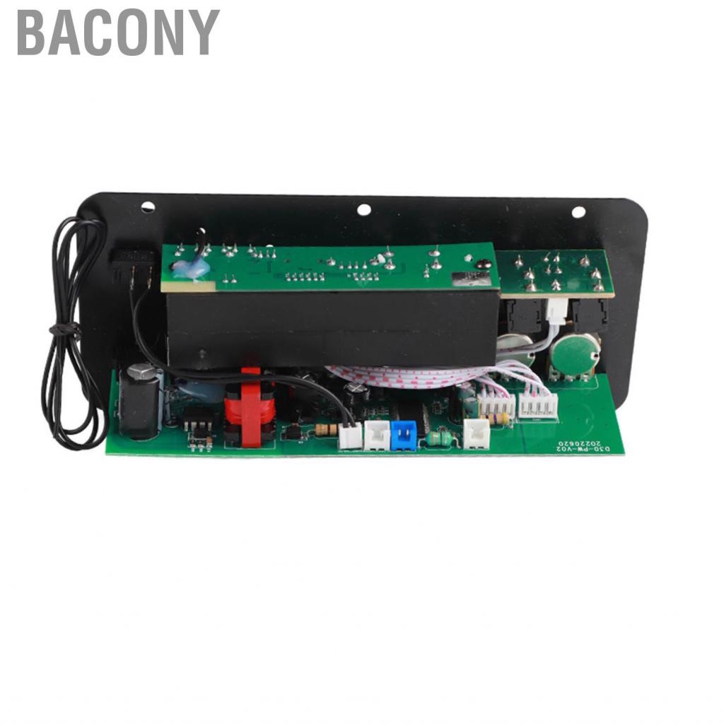 Bacony 10in  Stereo Subwoofer Amplifier Board Dual Microphone Input 220V for Home Theater DIY Speakers