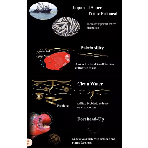 Aqua Master Flowerhorn 200gram thức ăn hỗ trợ tăng màu và lên đầu cho cá La Hán