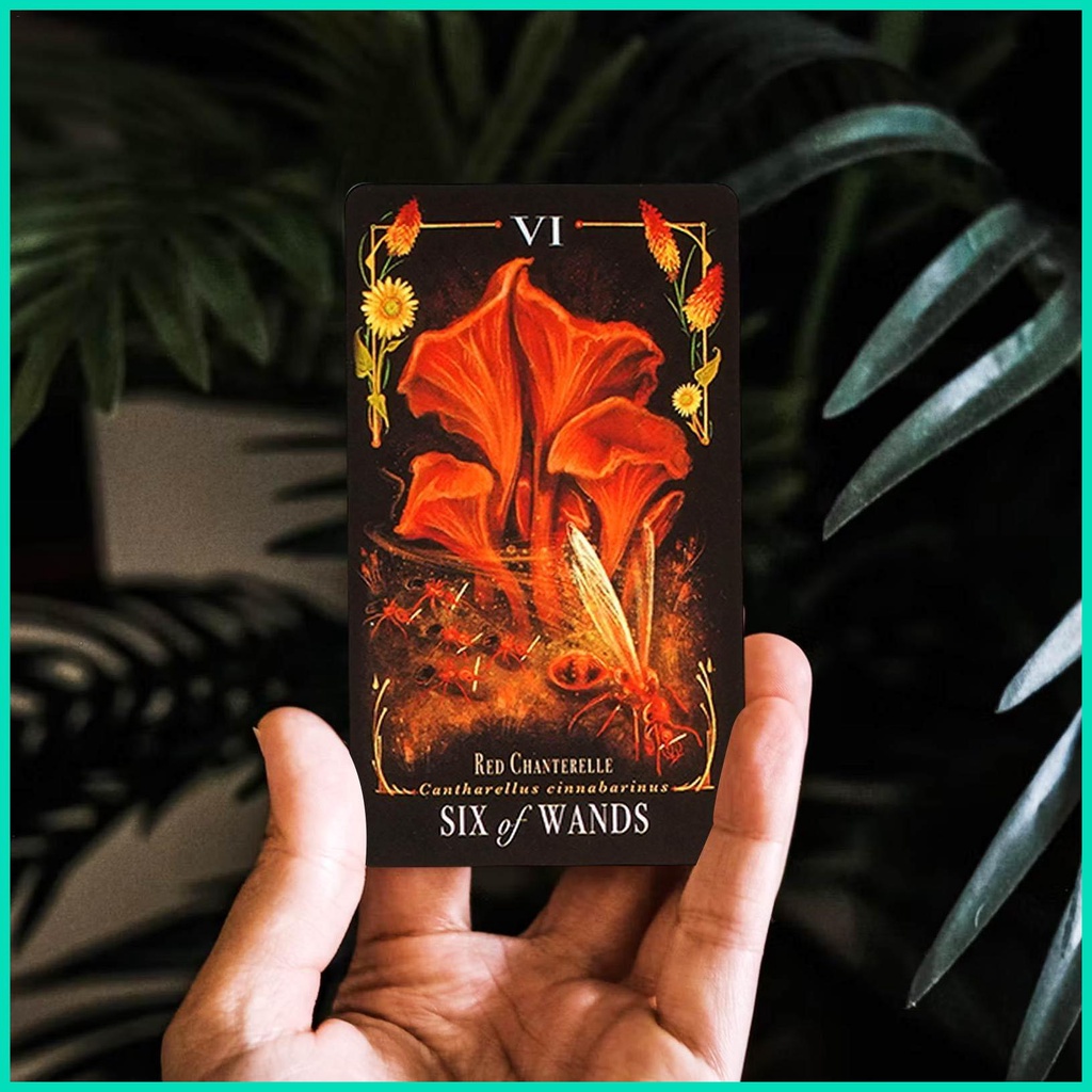Bộ Bài tarot 78 Lá Tiếng Anh