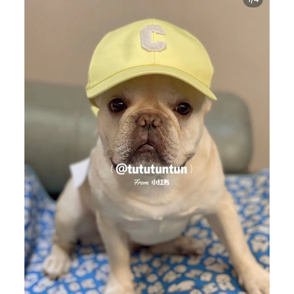 Mũ Lưỡi Trai Thêu Chữ ce Thời Trang hip hop 2023