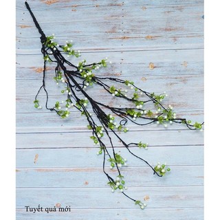 cành tuyết quả, cherry cổ trang trí bình hoa