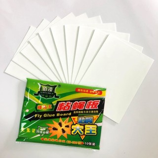 Combo 10 miếng keo dán ruồi size lớn 17,5x25cm