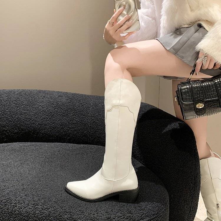 Giày Bốt Cao Bồi Mũi Nhọn Gót Dày Có Khóa Kéo Phía Sau size Lớn 35-42 Cho Nữ