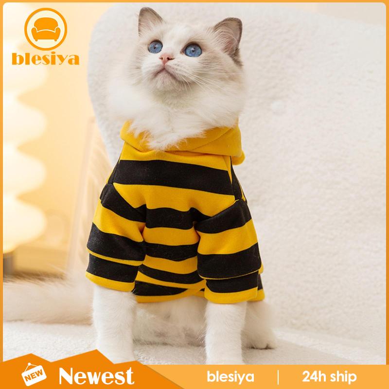 Áo Khoác Hóa Trang halloween Thời Trang Cho Thú Cưng