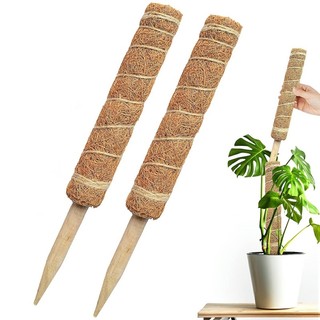Trụ cột xơ dừa cho cây leo bám cột 30/40/50cm-lperm