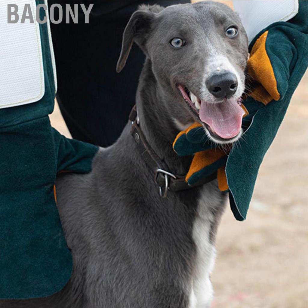 Bacony Handling   Professional Safety Tight Stitching Large Protection Area  Scratch for Veterinarians