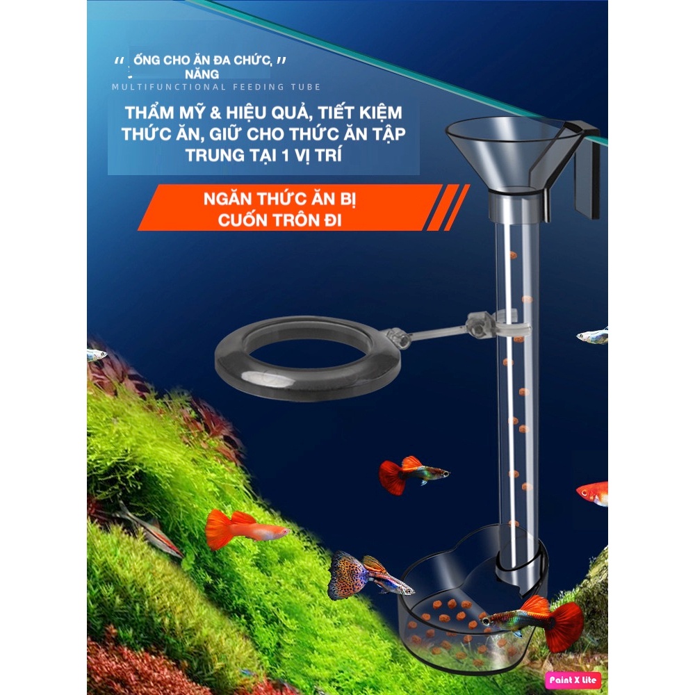 Bộ ống đựng thức ăn cho cá tép bằng nhựa Acrylic khay đĩa đựng thức ăn dạng máng trượt - dụng cụ cho ăn cá