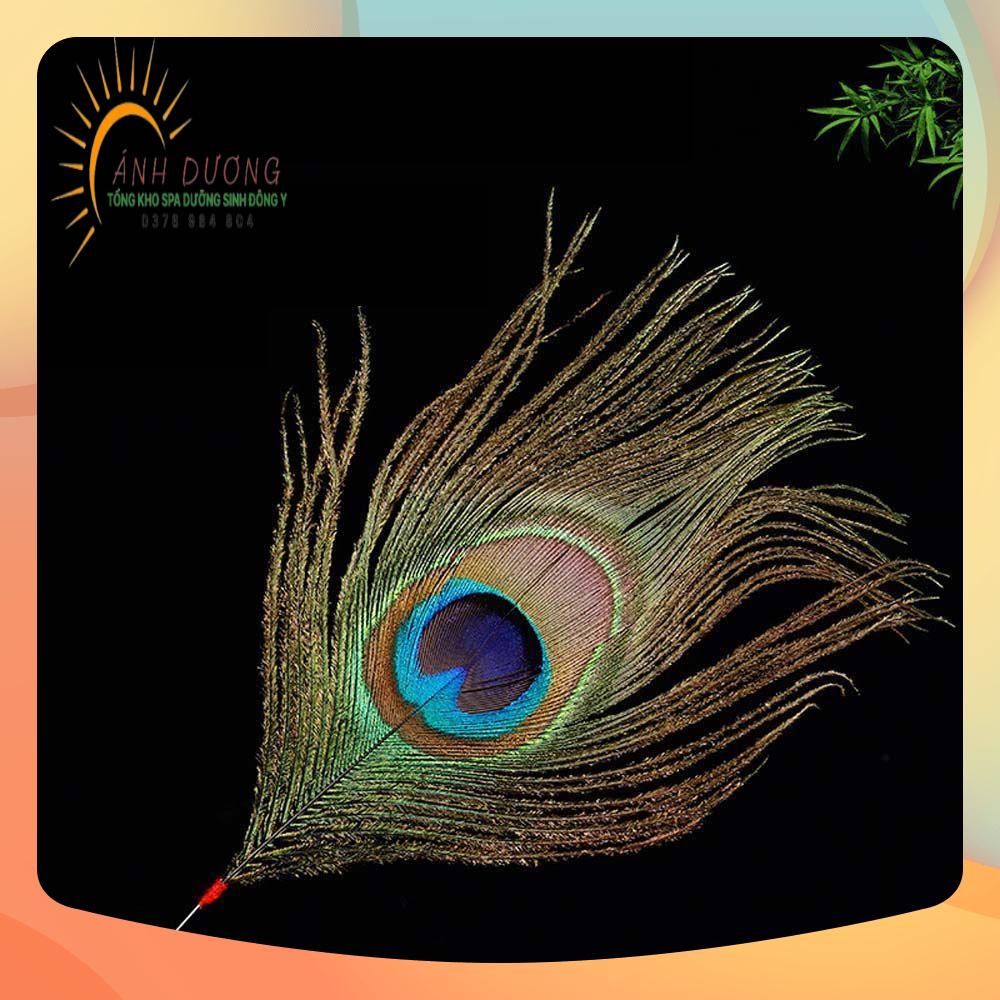 Lông Công, Lông Hồng Dụng Cụ Ngoáy Tai Thư Giãn Massage Gội Đầu Dưỡng Sinh