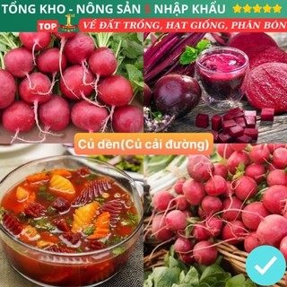 Hạt giống củ dền gói 500 hạt siêu dễ trồng kháng bệnh tốt năng suất cao có hướng dẫn