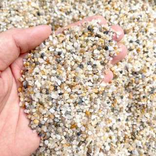 Sỏi trang trí sen đá các loại (1kg)