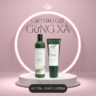 Gội xả gừng trắng, hà thủ ô nâu weilaiya